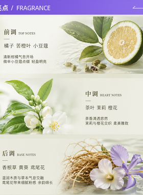 阿玛尼100ml玉龙茶香清新木质香