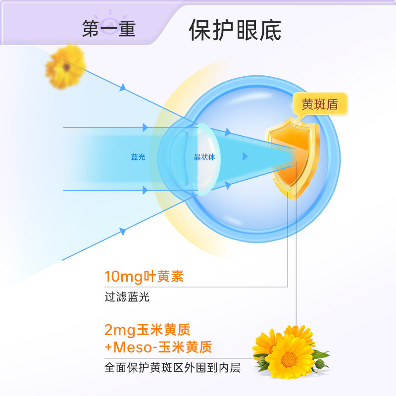 【自营】维乐原成人叶黄素专利护眼中老年眼睛保健品亮眼60粒