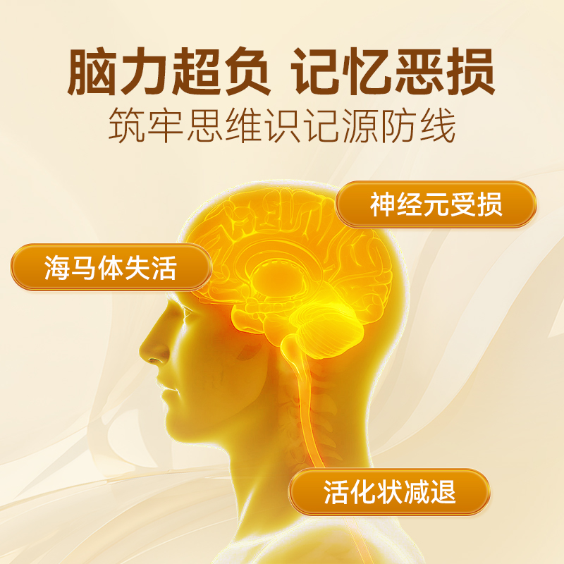 【自营】乐和制药中老年天然银杏叶补脑素健康记忆专注大脑养护 - 图3