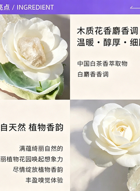【自营】【中秋礼物】Bvlgari/宝格丽悠境白茶淡香水氛持久