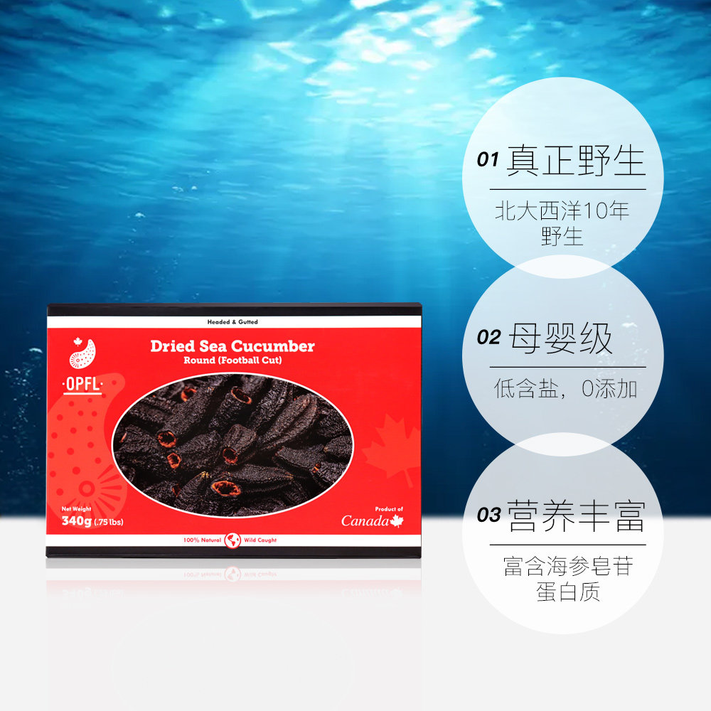 【自营】欧参力得opf加拿大340g海参 天猫国际自营全球超级店干品/即食海参