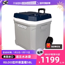 (self-employed) IGLOO pull rod insulated box cold chain transport medical reagent outdoor ice bucket 58L ice bag