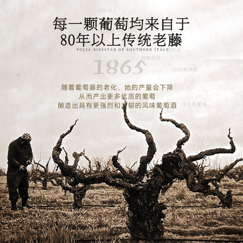 【自营】意大利进口普利亚红酒礼盒装 18度干红葡萄酒整箱正品 - 图1