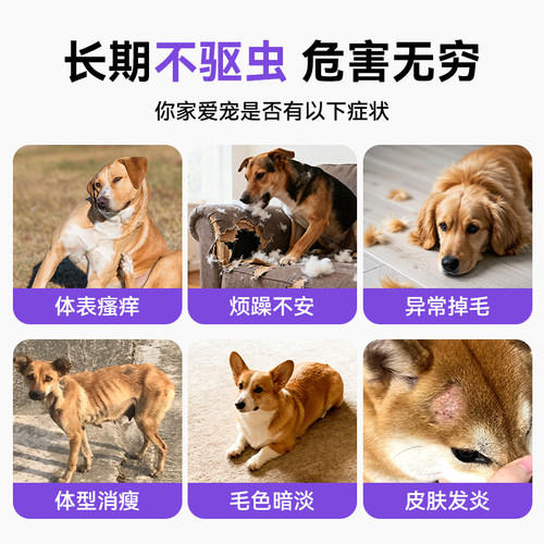 【自营】贝卫多宠物狗狗驱虫药祛跳蚤蜱虫体外口服固体犬专用兽药 - 图0