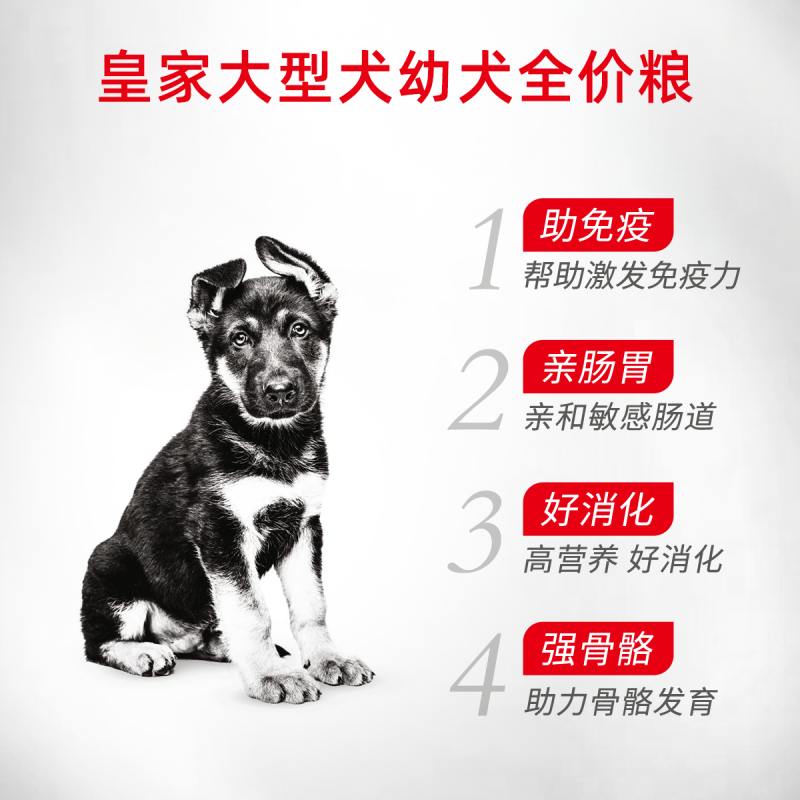 【自营】皇家大型犬幼犬全价粮MAJ30 4KG金毛拉布拉多德牧幼犬-图1