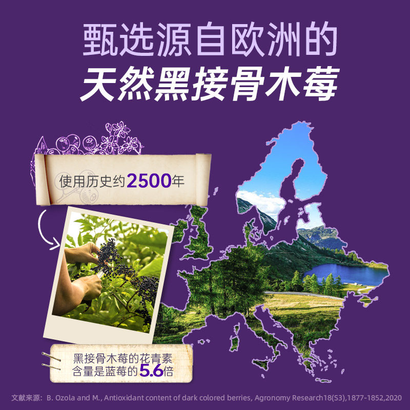 【自营】Sambucol善倍康儿童免疫力软糖黑接骨木莓VC补锌50粒*3瓶