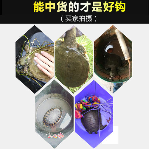 甲鱼钩套装钓甲鱼王八钩地插成品线组歪头钩鳖钩黑鱼黄刺鱼 - 图2