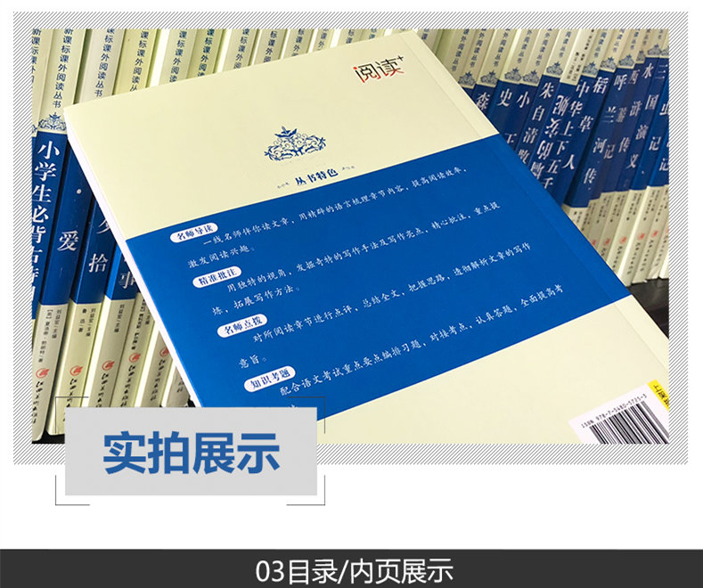 绿山墙的安妮 刘益宏主编江西美术出版社珍藏版无障碍阅读中小学名著青少课外阅读经典文学名著故事书籍青少年读物书