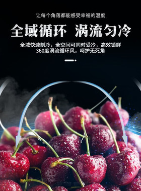 50L冰吧冷藏微冷冻展示柜