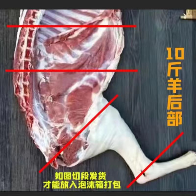 顺丰包邮新鲜冷冻现杀半只羊10斤装生羊肉内蒙古羊腿羊排羊蝎子-图3