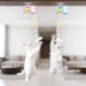Cat toys yo-yo telescopic lift hanging door kitten toys fun tools electric cat teasing stick
