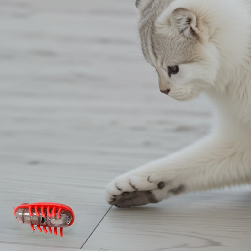 猫玩具电动纳米虫自动逗猫神器自嗨解闷宠物消耗体力玩具猫咪用品,淘宝优惠券,粉丝福利购,淘宝优惠卷