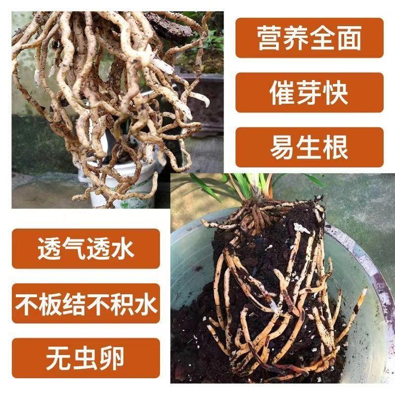 养兰花专用土营养土兰草肥料植土兰花土大花惠兰种君子兰盆栽植料-图1