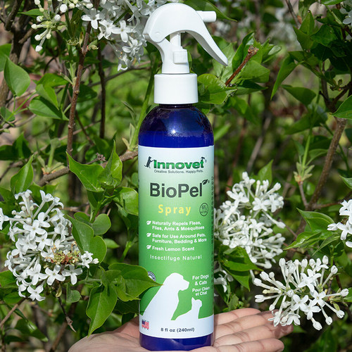 美国伊诺特体外驱虫外出喷雾宠物防猫咪狗狗跳蚤蚊虫蜱虫精油 - 图1