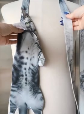 生无可恋猫咪领带仿真小