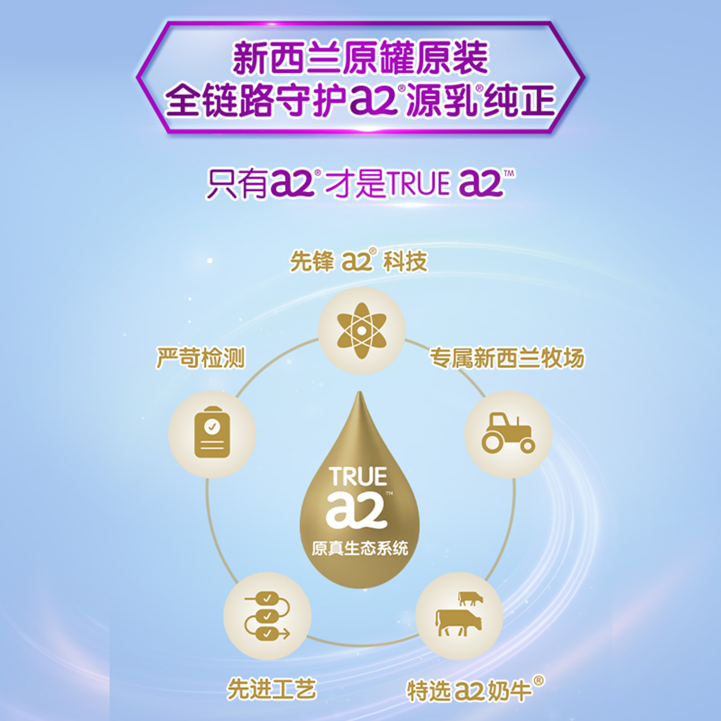 【弯弯推荐】a2紫白金3段幼儿配方奶粉1-4岁A2蛋白质900g*6罐 - 图1