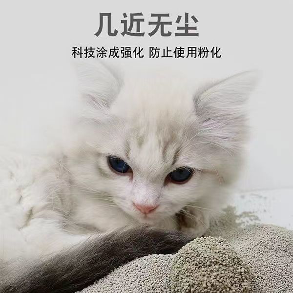 细猫砂膨润土猫砂无尘无粉尘矿物质猫砂除臭猫咪用品大全5kg10kgU-图3