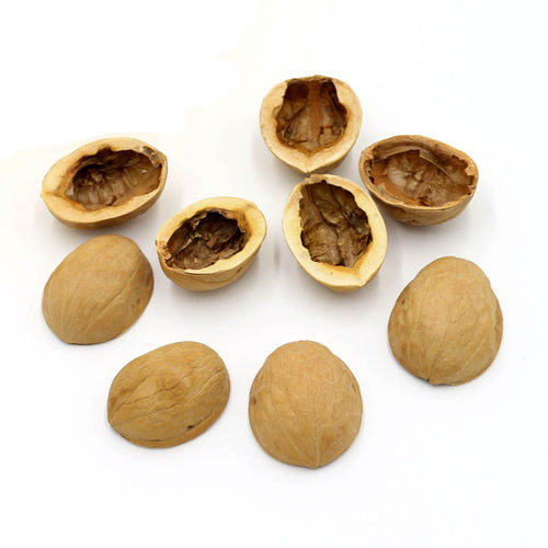 核桃灸艾灸眼镜用不打孔核桃壳眼部艾灸眼睛视疲劳手工薄皮核桃壳 - 图3