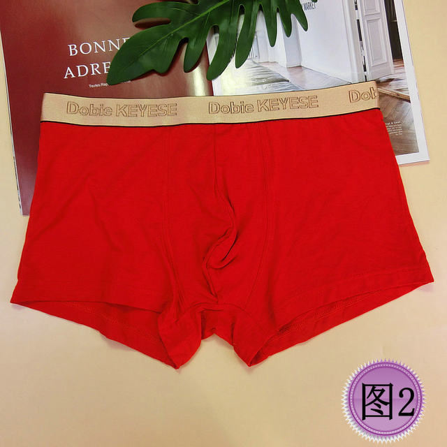 Dolby Knight Red Zodiac Years Men's Boxer Briefs
