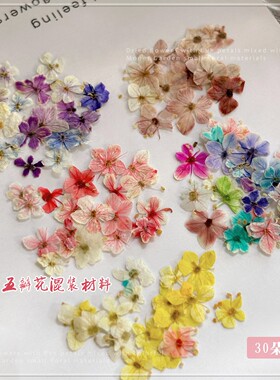 美甲干花素材混装莫奈花园小碎花