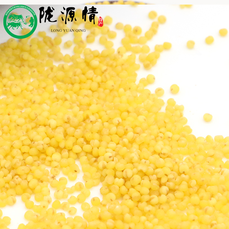 Qingyang specialty Haizi Yaoshishe millet 500g vacuum packaging new rice coarse grain grain millet miscellaneous grain confinement rice