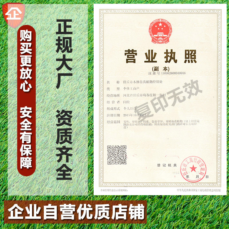 仿真草坪地毯人造假草绿色户外阳台幼儿园塑料人工绿植装饰草皮,淘宝优惠券,粉丝福利购,淘宝优惠卷