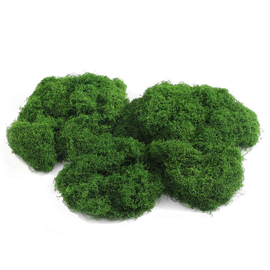 仿真苔藓草皮造景仿生假青苔微景观布置摆件草坪盆景盆栽铺面装饰