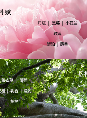 夏茉苍梧谣牡丹赋香水清冷温柔