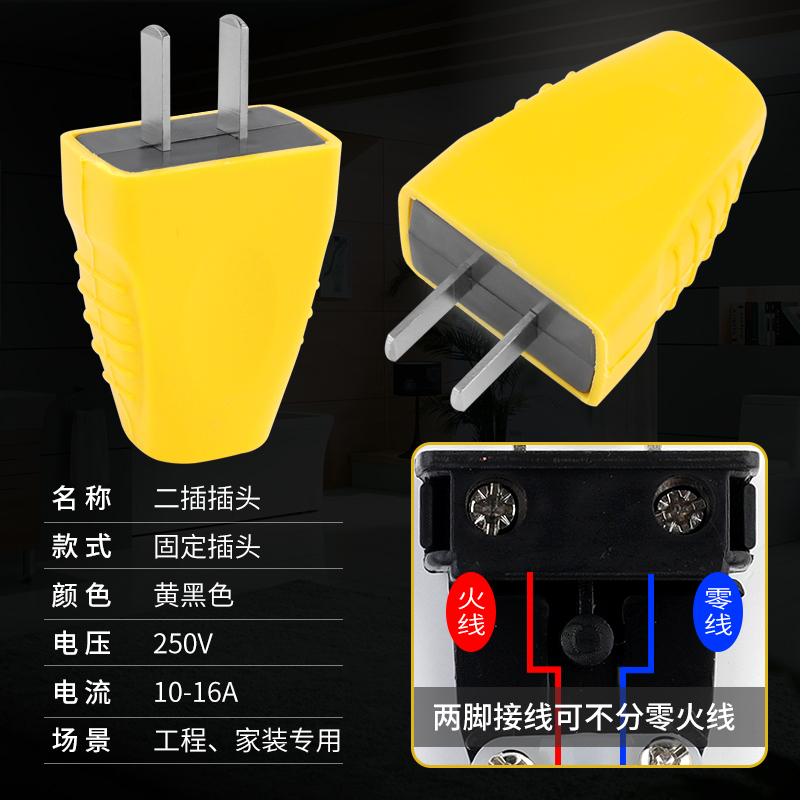 10只装10A二插单相10安防爆二极二角2项电源插头固定旋转二脚纯铜 - 图2
