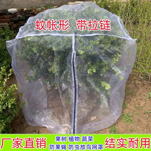 果树防虫网罩网袋莲雾樱桃蓝莓杨梅蔬菜花卉绿植防鸟防虫网抗老化