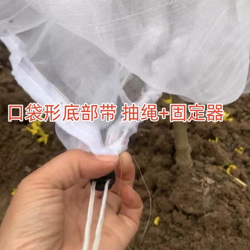 果树防虫网罩网袋莲雾樱桃蓝莓杨梅蔬菜花卉绿植防鸟防虫网抗老化