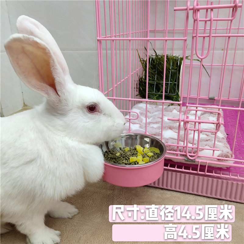 兔子食盆荷兰猪豚鼠可固定食盒龙猫宠物兔防打翻兔粮饭碗食槽包邮,淘宝优惠券,粉丝福利购,淘宝优惠卷