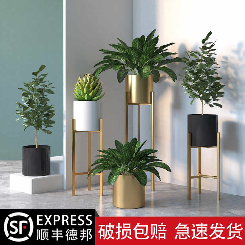 金色花架 新人首单立减十元 21年7月 淘宝海外