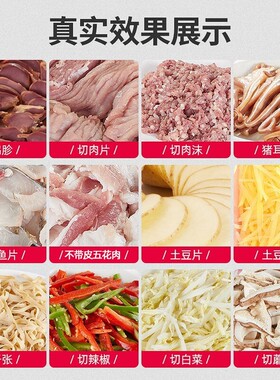 志高切肉机电动切菜机商用土豆
