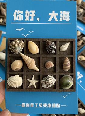 创意海洋风贝壳海星冰箱贴