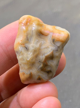 天然戈壁石 奇石 阿拉善石 玛瑙原石 筋脉石 经脉