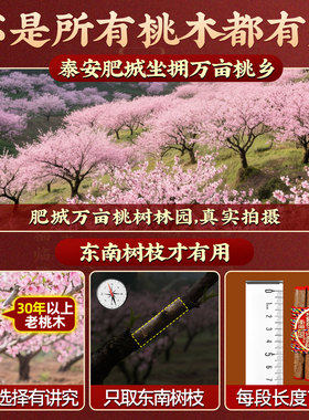 正宗7根桃木枝护东南桃木枝五色线五彩线随身包挂件官方旗舰店