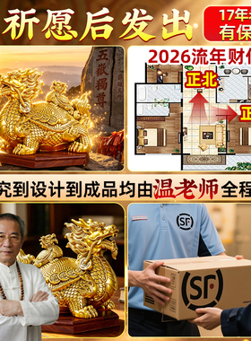 龙龟摆件招财宅纯黄铜铜制水风金钱母子八卦店铺公司开业乔迁新居