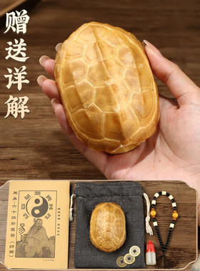 泰山祈愿真天然乌龟壳