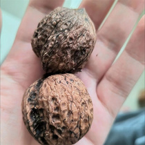 New goods Yunnan fresh walnut peeled fresh wet walnut wild thin pecorino pregnant women with zero food nuts