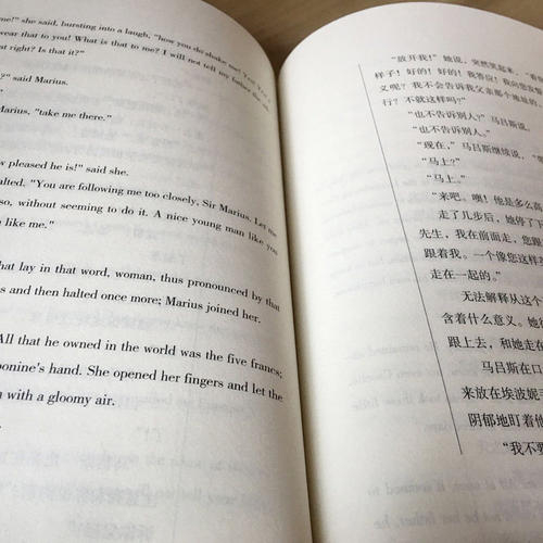 悲惨世界 英文原版+中文版 名著学英语书籍英汉互译中英文双语对照读物中学生阅读世界经典文学名着小说语法词汇 - 图2