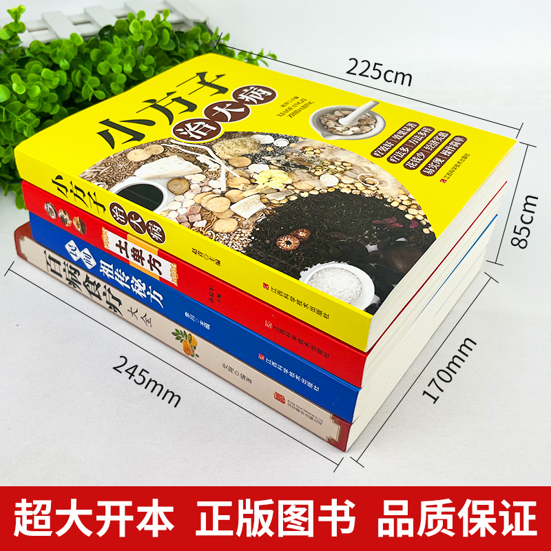 全套6册彩图加厚版 百病食疗大全+学用中药养生治病一本通+很老很老的老偏方+土单方民间祖传偏方小方子治大病 中药养生食疗药膳书 - 图0