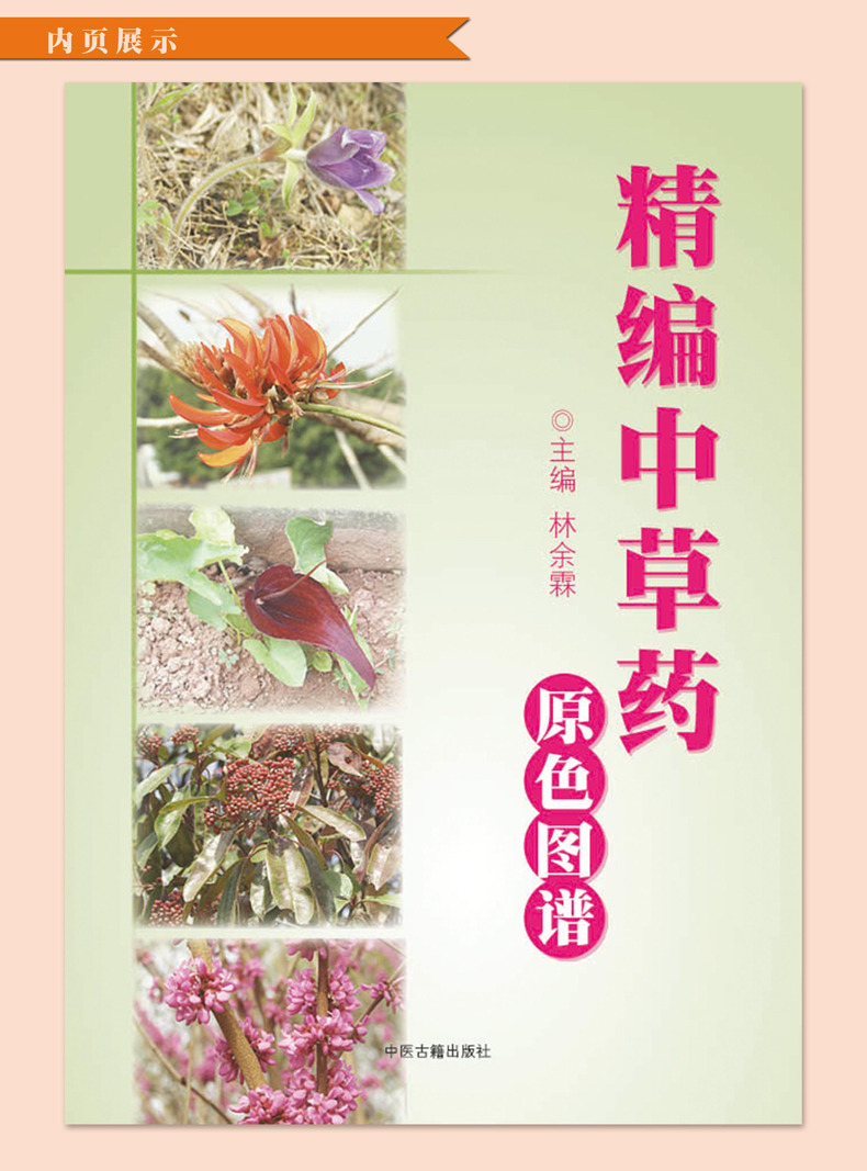 【全3册】精编中草药+本草纲目+中国药典中药原色图谱中草药全图鉴速查手册图谱中国药材图鉴大全常用中草药识别应用中医学书籍-图0