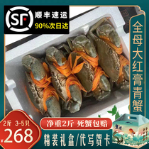 Three-door crab green crab fresh extra-large full mother red paste crab seafood crab Red Sturgeon Butter with Midge Meat Crab