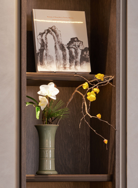 宋氏美学客厅柜体电视柜酒柜装饰