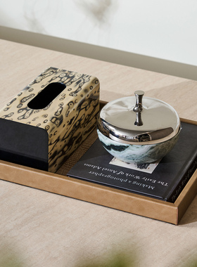 茶几装饰摆件高级感轻奢托盘收纳