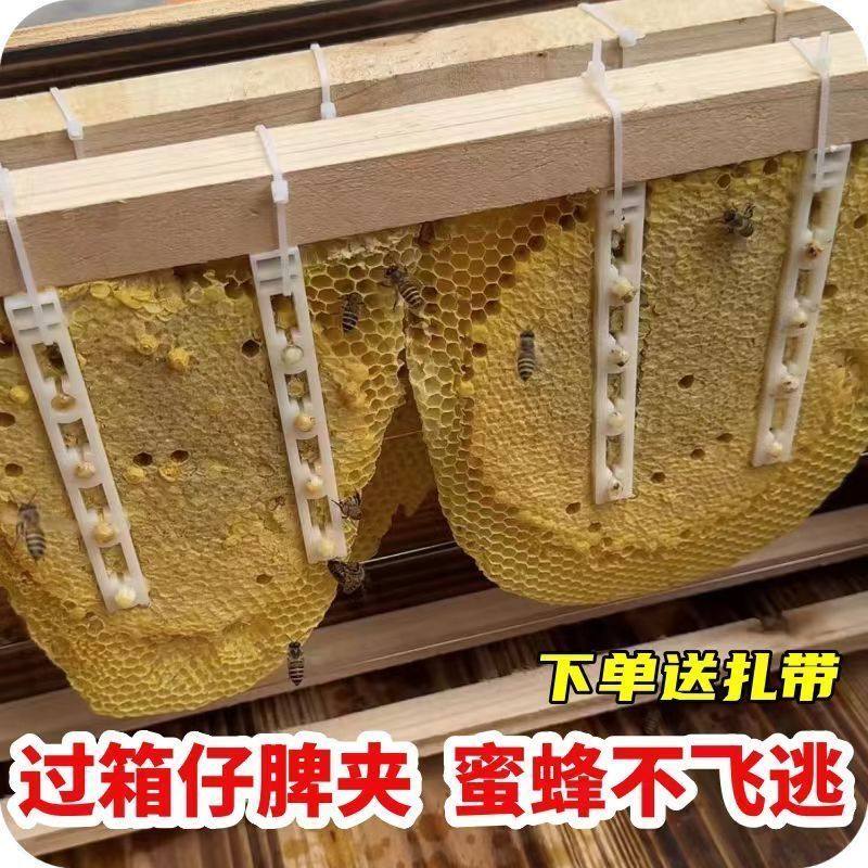 顶格巢脾夹过箱导础夹子野蜂过箱土养圆桶夹脾塑料夹绑脾条固定条,淘宝优惠券,粉丝福利购,淘宝优惠卷