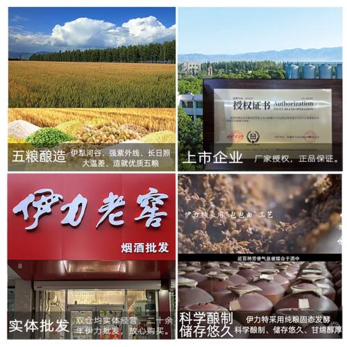 新疆白酒伊力老窖小老窖镀金时光纯粮食浓香型46度250ml*10瓶伊犁 - 图2