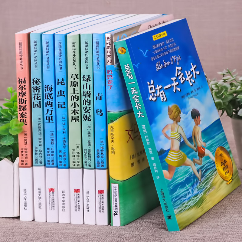 全套9册 四年级阅读课外书必读 总有一天会长大 青鸟 秘密花园 草原上的小木屋 适合小学生读的课外阅读书籍小学老师推荐 - 图2
