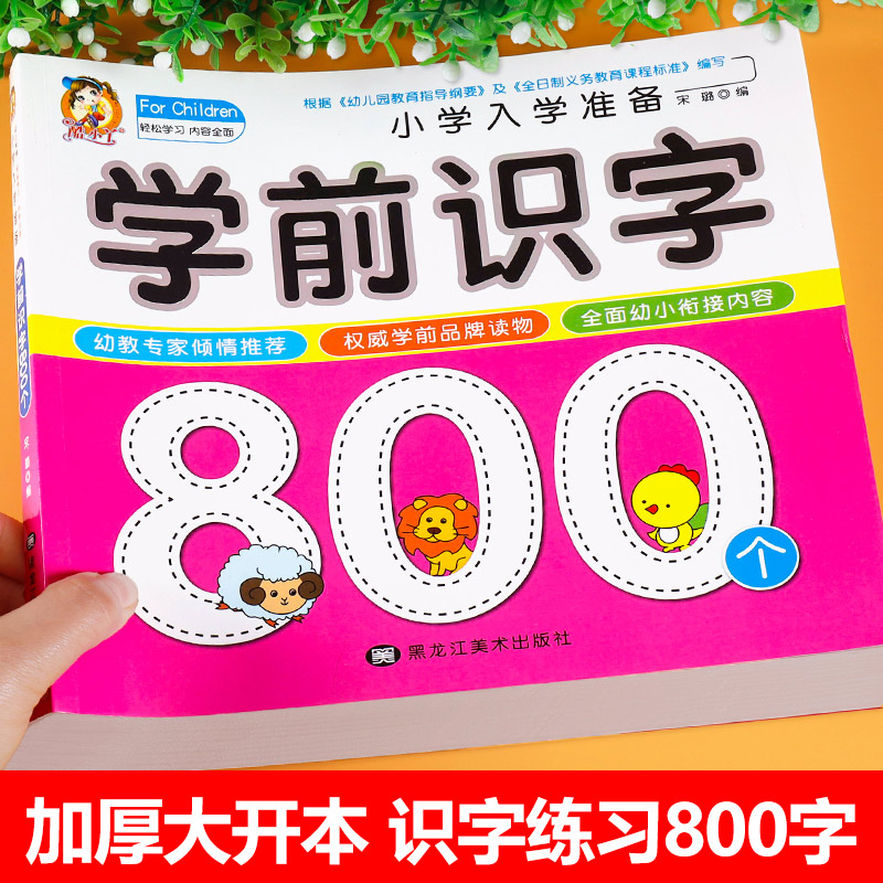 学前识字800个 幼儿识字书认字启蒙幼儿园识字教材学前班阅读与看图识字宝宝认字卡片认字书儿童早教识字卡1000字3000字书籍 - 图0